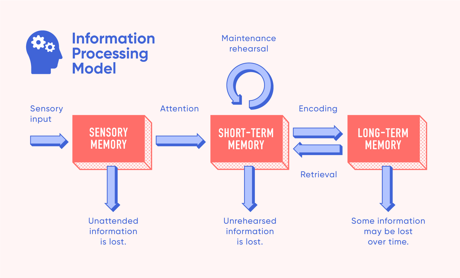 Information Processing Theory Model